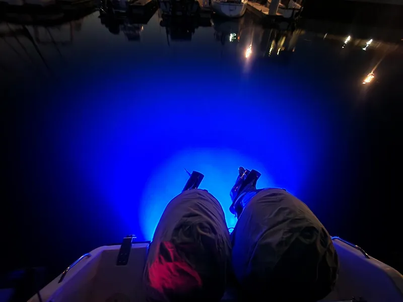 Person sitting on a 2005 Grady-White Bimini 306 boat, illuminated by blue underwater lights.