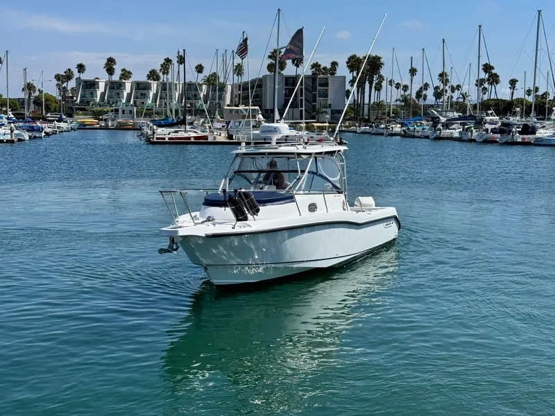 2008 Boston Whaler 285 Conquest boat in a marina with sailboats and palm trees.