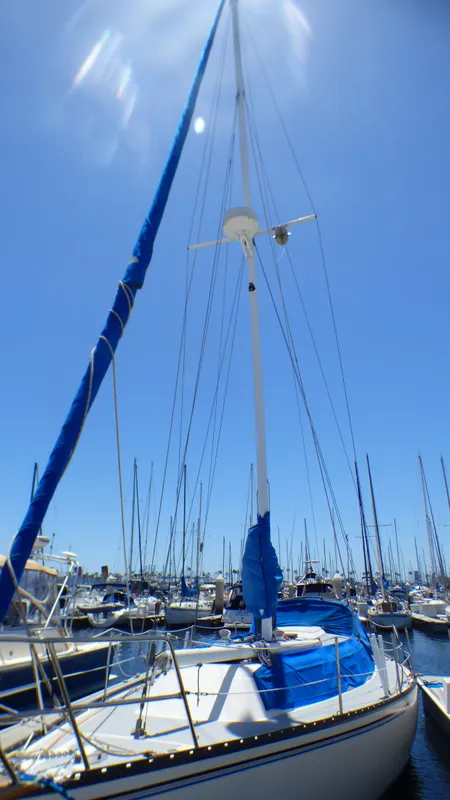 1981 Hunter 37 Cherubini Cutter