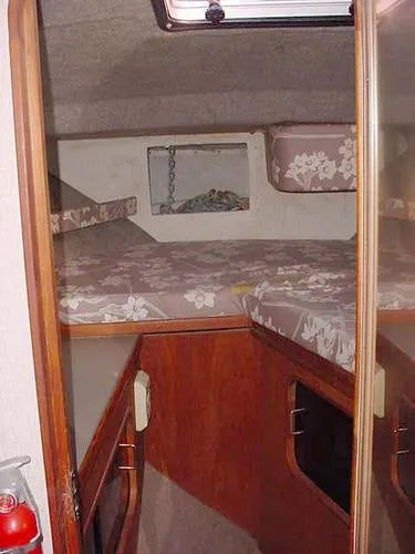 1984 Bayliner Conquest