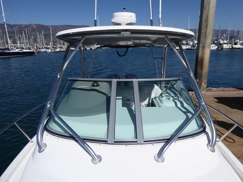 Windshield