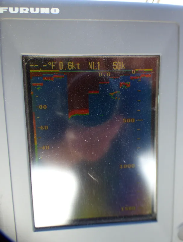 1989 Bayliner 3888 Motoryacht