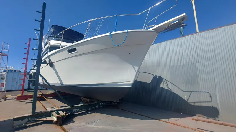 1989 Bayliner 3888 Motoryacht