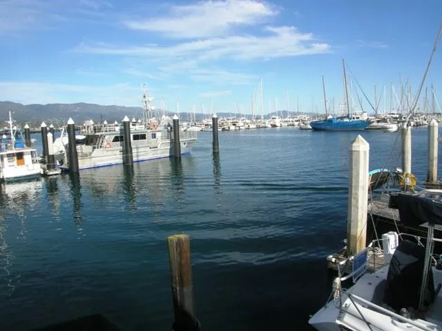View from slip 2