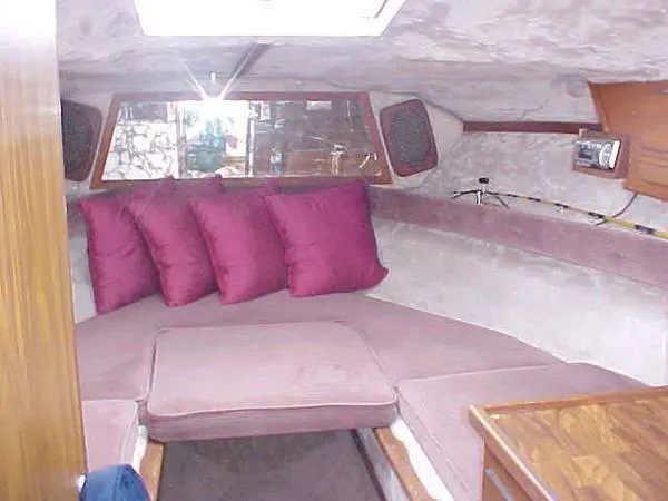 1978 Sea Ray SRV 240 w/trailer