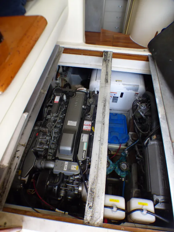 1998 Luhrs Tournament 320