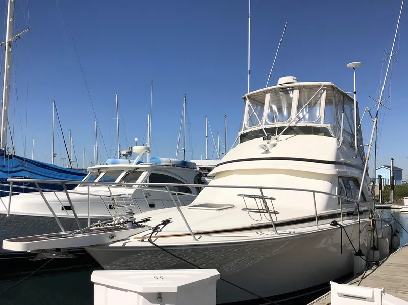 1990 Bertram 37