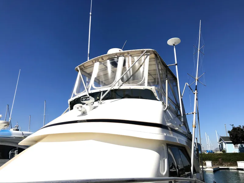 1990 Bertram 37