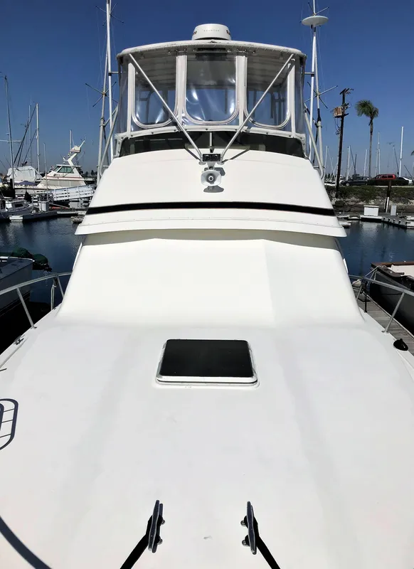 1990 Bertram 37