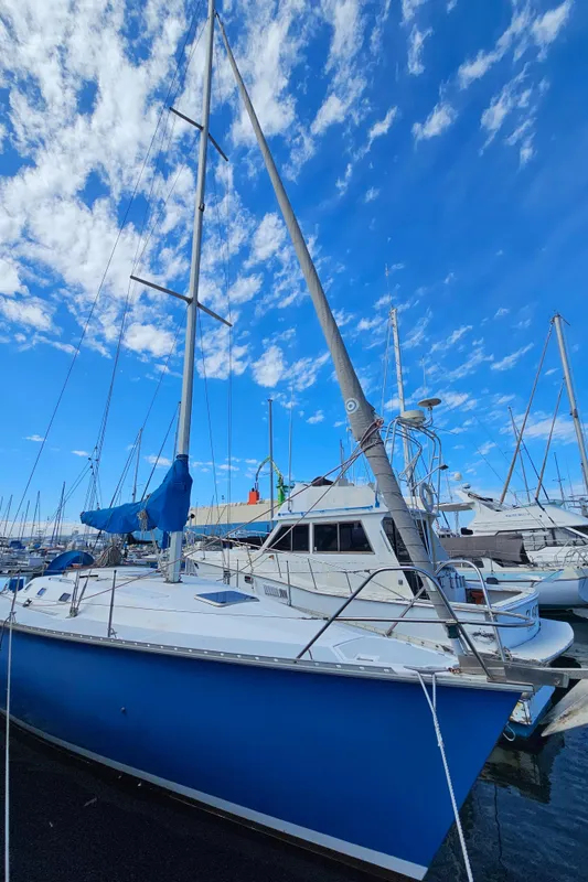 1988 Hunter Legend 35 sailboat docked under a blue sky.