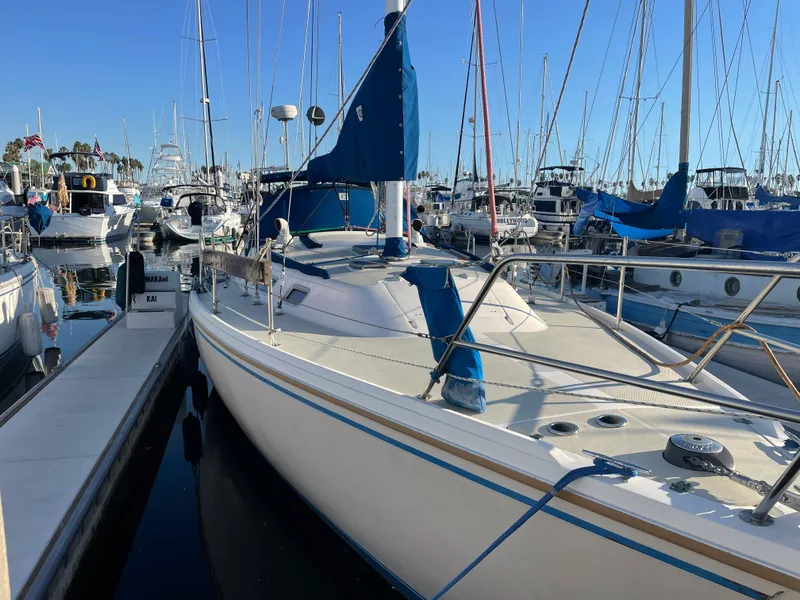1985 Catalina 36 ft. Sloop