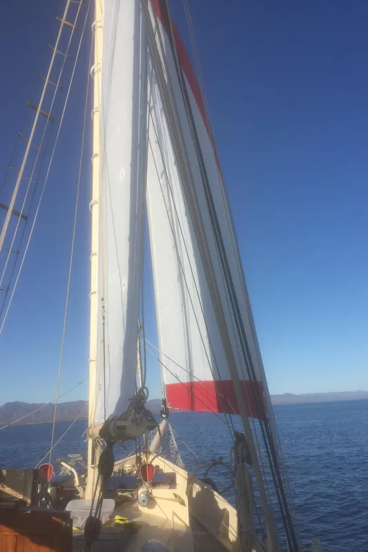 1975 Custom 45’ Thomas Colvin “Tamarack” Schooner sailing on open sea under clear blue sky.