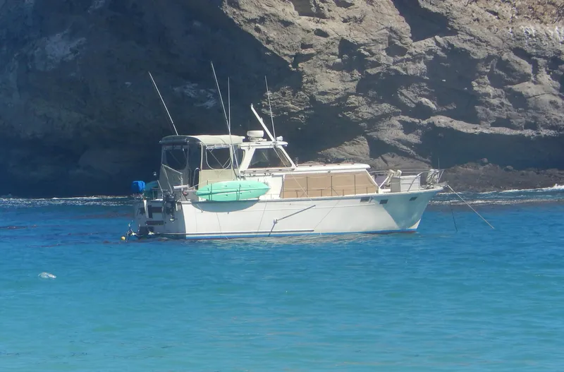 1982 Roughwater 41