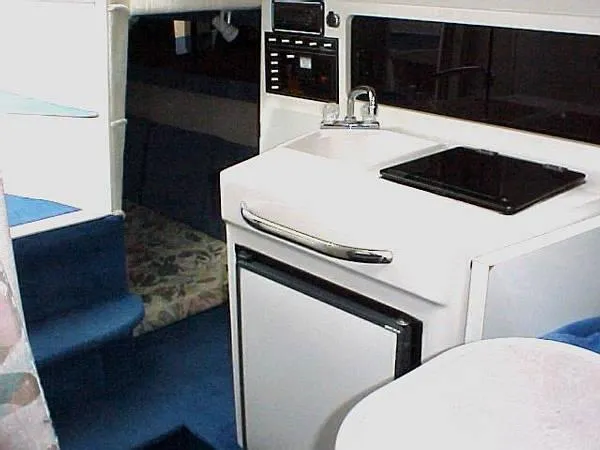 1995 Chaparrel Signature Express