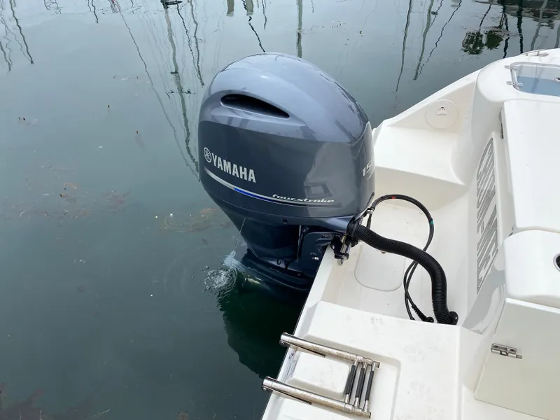 2018 Cobia 220