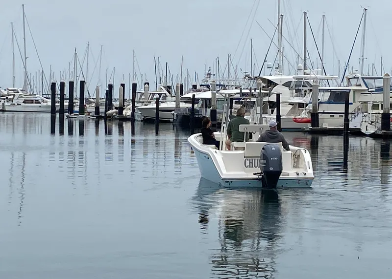2018 Cobia 220
