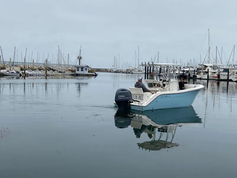2018 Cobia 220