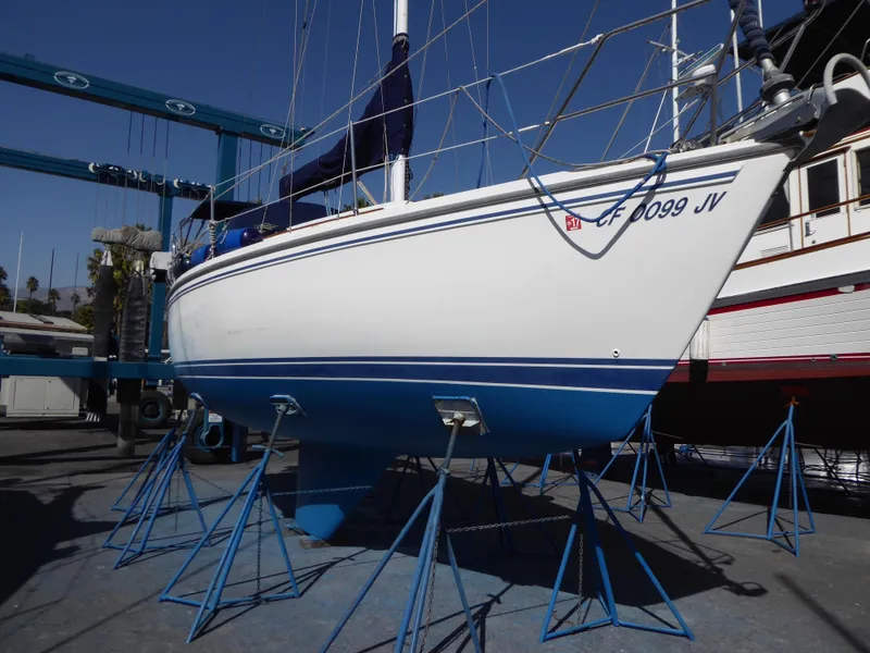 New Bottom Paint 2
