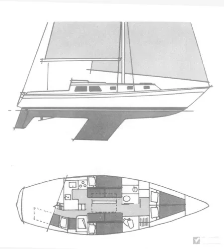 line drawing/layout