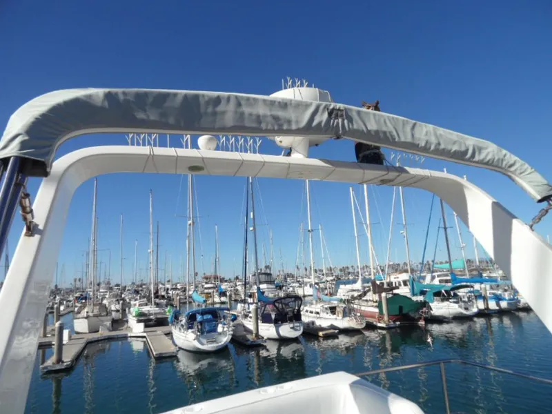 1989 Sea Ray 300 Sedan Bridge