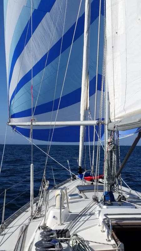 Under Spinnaker