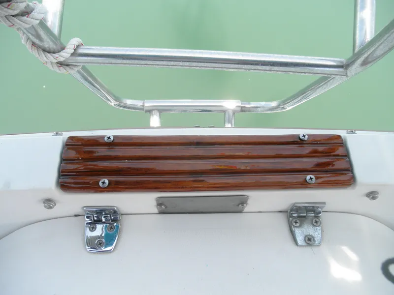 Swim Ladder Step