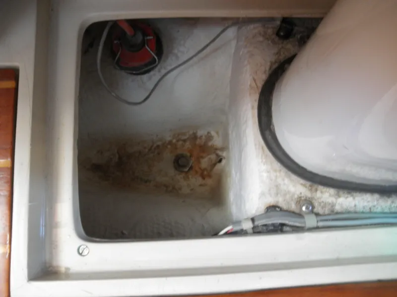 Clean Mast Step