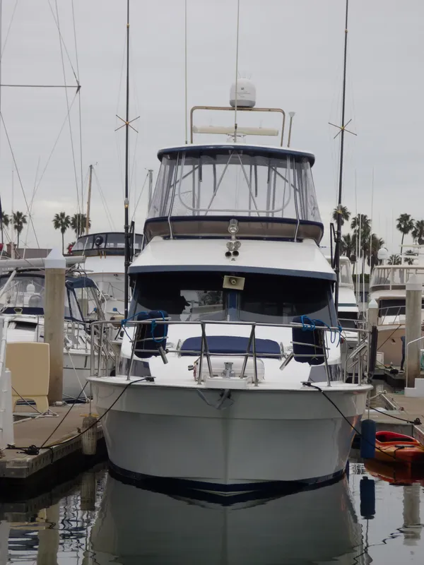 Bow view