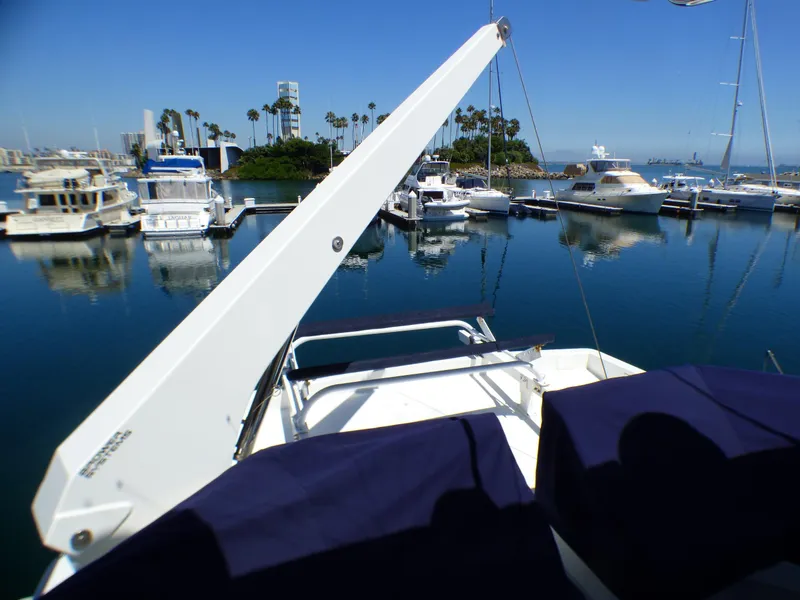 1000 lb. Dinghy Davit on Flybridge