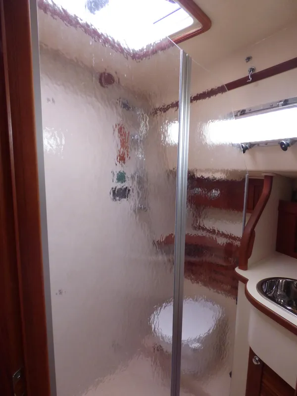Shower door