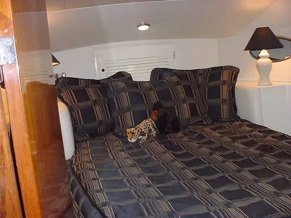 Master stateroom