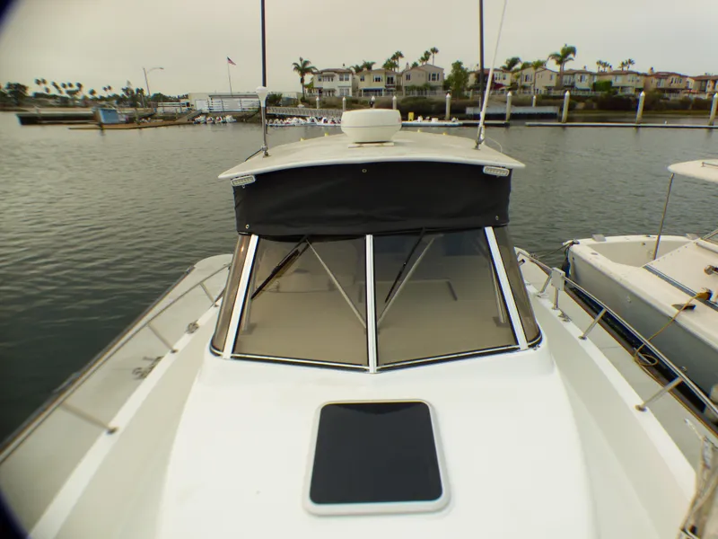 2001 Shamrock 290 Walkaround