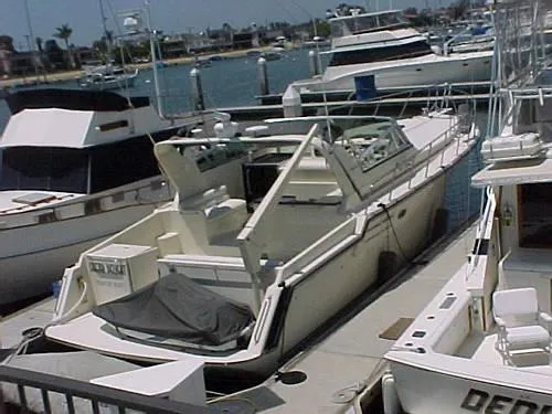 1990 Californian Venetti