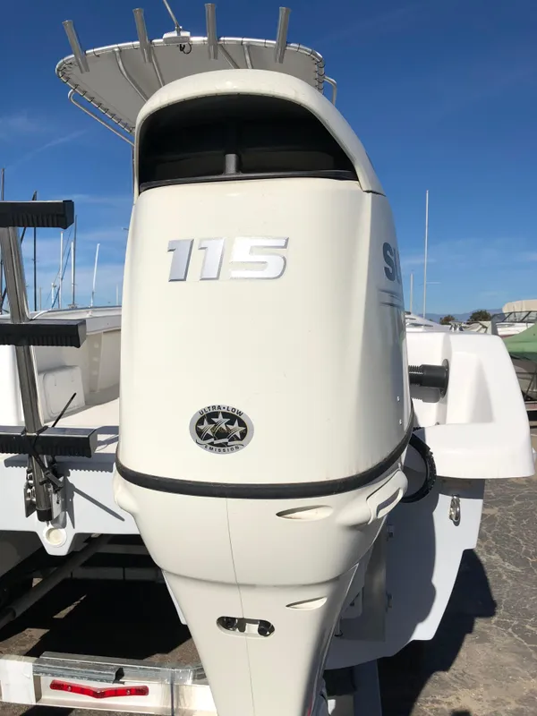 2018 Twin Vee 225 Ocean Cat