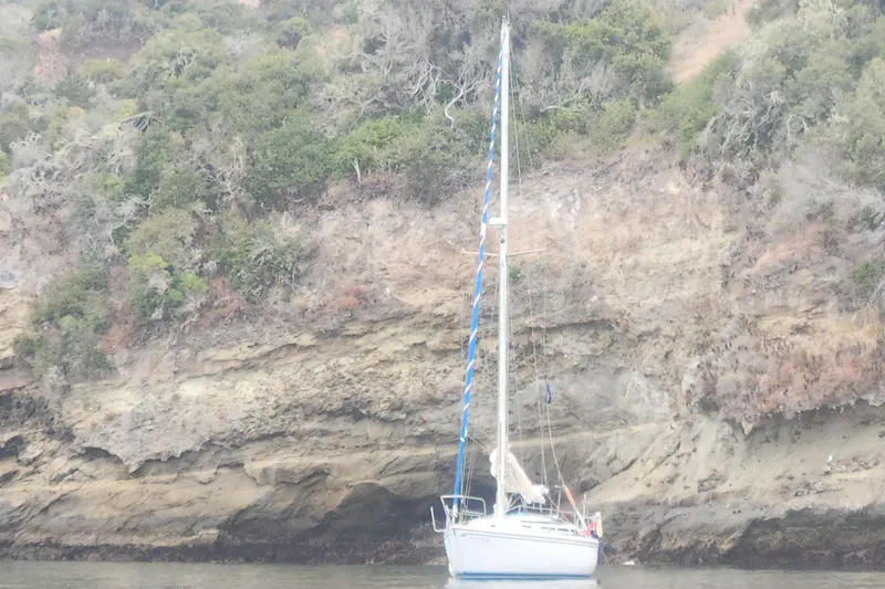 1981 Catalina 30 sailboat anchored near rocky cliffside with lush greenery.
