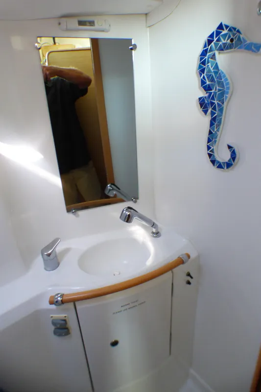 Lagoon 380 yacht bathroom with sink, mirror, and blue seahorse wall art, 2015 model.