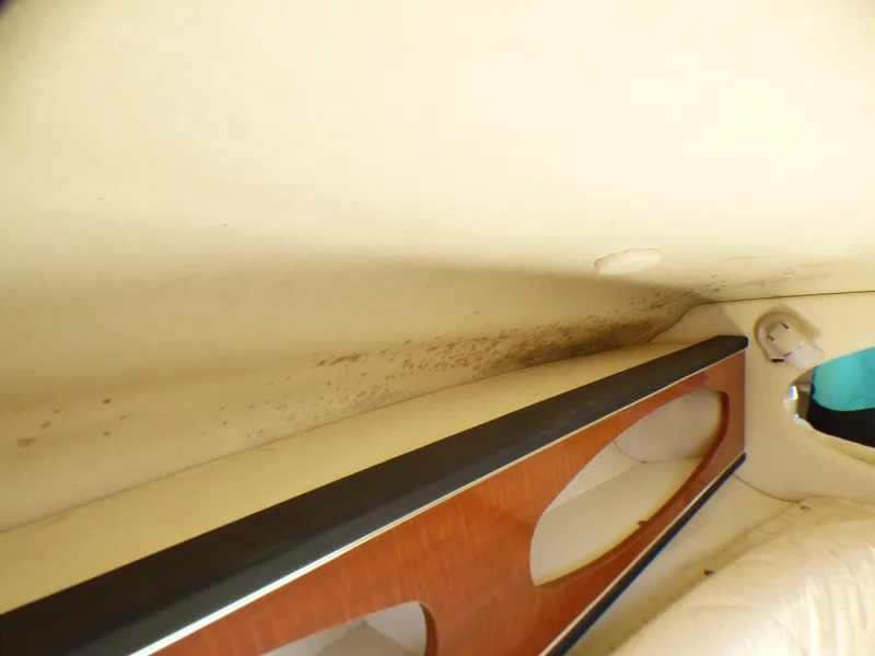 Interior of 2003 Sea Ray 260 Sundancer showing ceiling and wooden trim detail.