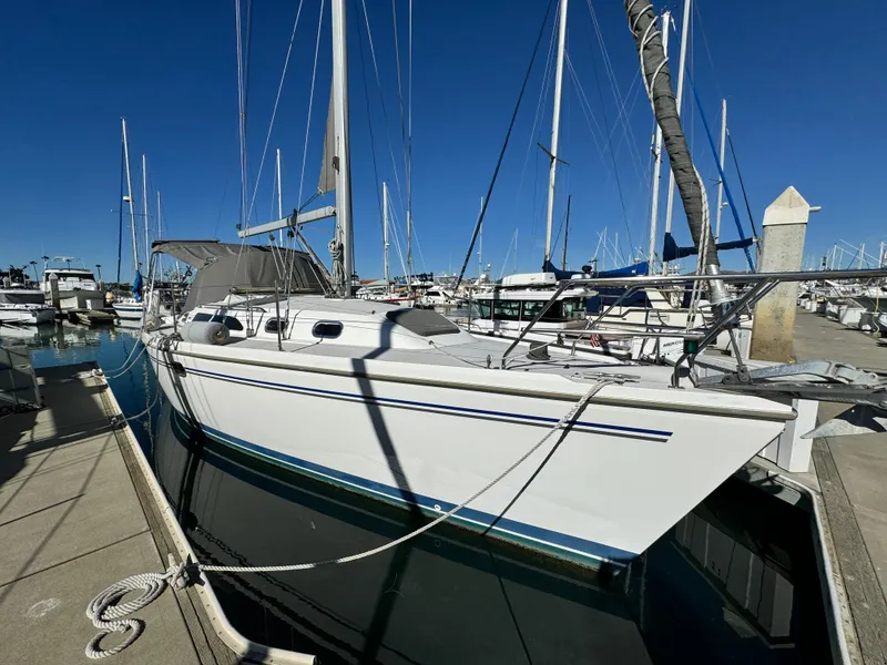 2004 Catalina 350 sailboat docked at marina under clear blue sky.