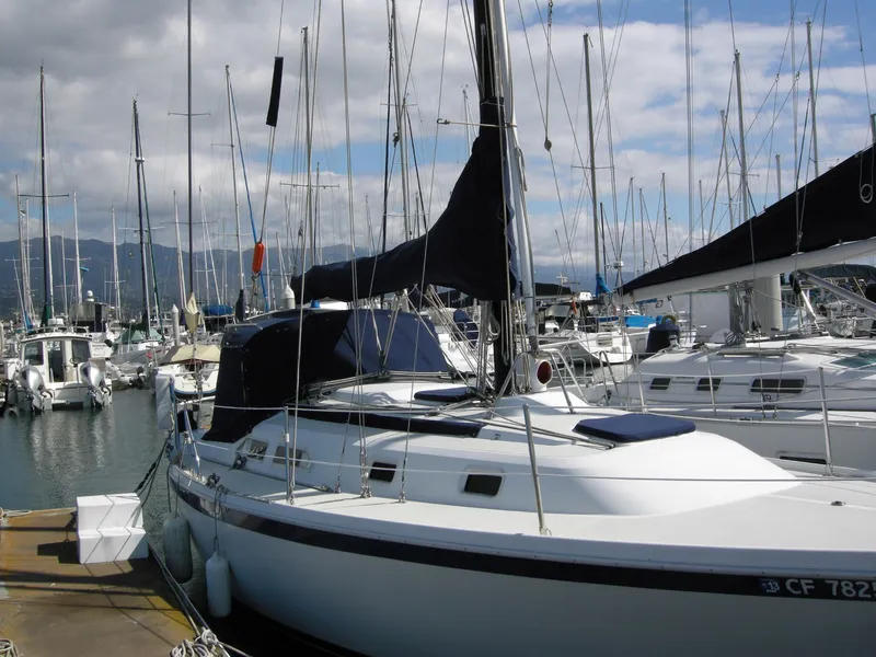 Starboard View