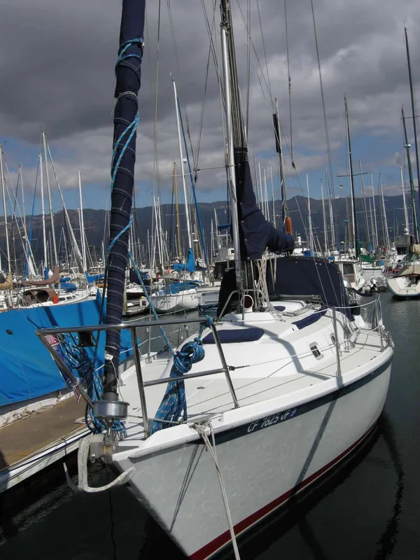 Port View