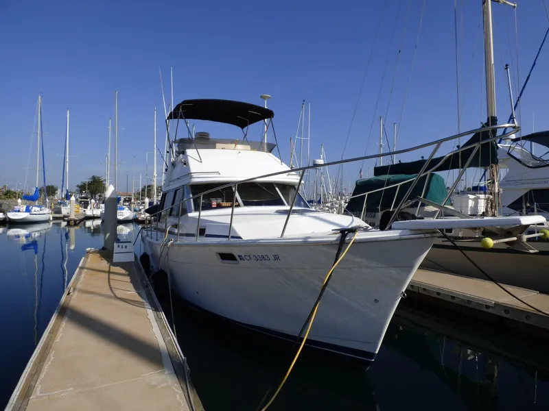 1988 Bayliner 32 Motoryacht