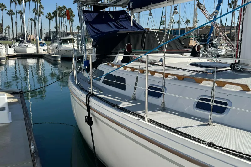 1989 Catalina Sloop docked in a marina, surrounded by other boats and palm trees.