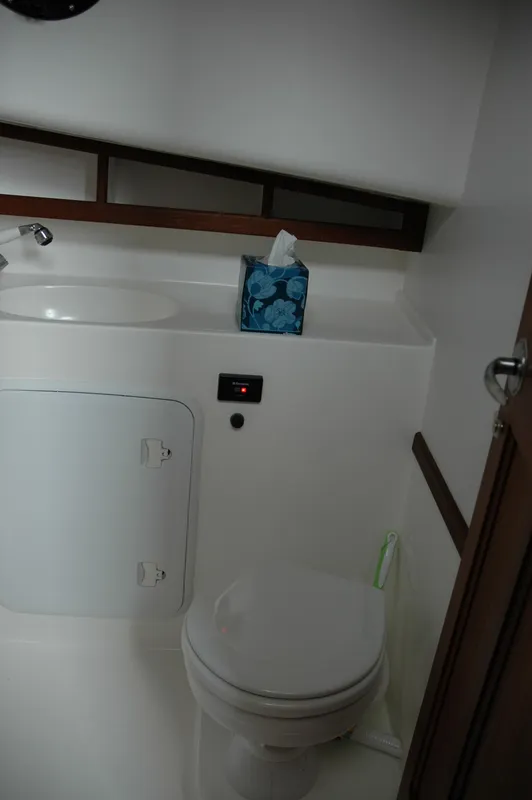 Stand up Head with Electric Toilet