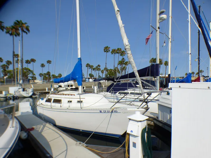 1982 Islander Bahama 30