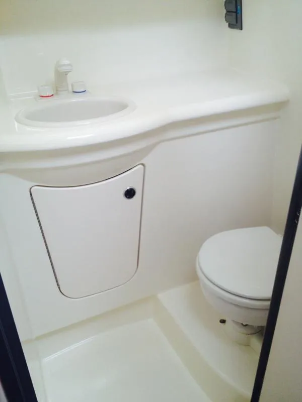 2008 Bayliner Discovery 246