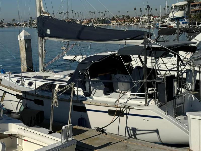 1992 Hunter 35 sailboat docked in a marina with calm waters and palm trees.