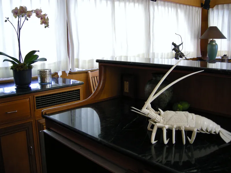 Granite counter tops