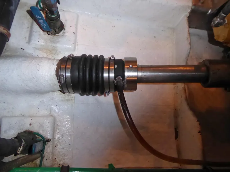 Newer shaft seals