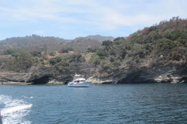 1980 Hershine Trawler cruising near rocky coastline under clear skies.