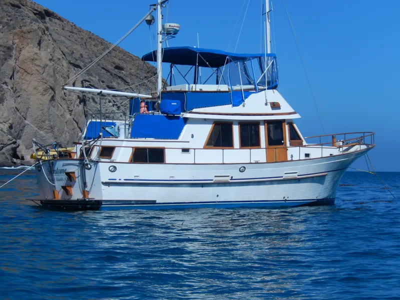 1985 Hershine 41